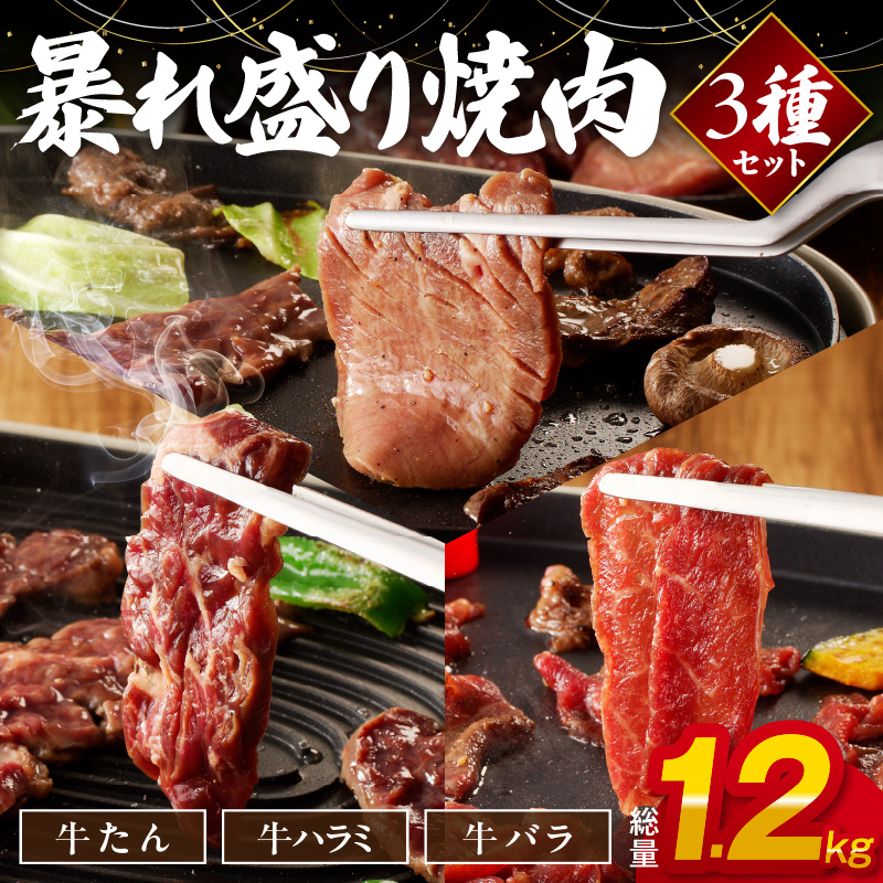 暴れ盛り 焼肉 3種セット 総量 1.2kg