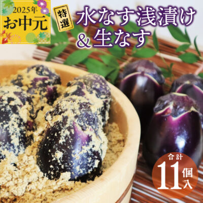 【お中元】特選水なす浅漬け＆生なす 11個入り