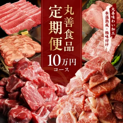 丸善食品 定期便 全6回 10万円コース【毎月配送コース 丸善味わい加工 牛肉 スライス すき焼き しゃぶしゃぶ 訳あり 不揃い ファミリー】