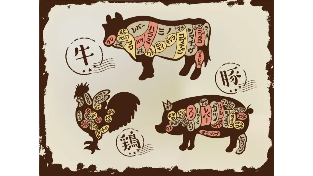 肉の部位