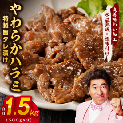 【氷温熟成×特製旨ダレ】やわらかハラミ 1.5kg 特製旨タレ漬け