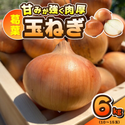 【先行予約／2026年4月中旬以降発送】葛葉玉ねぎ 6kg（10〜15玉）