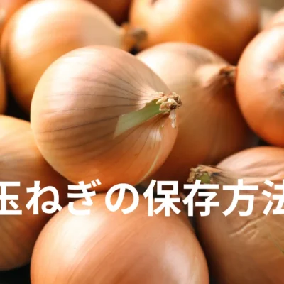 玉ねぎの保存は常温・冷蔵・冷凍どれが正解？ 正しい保存方法と長持ちのコツ