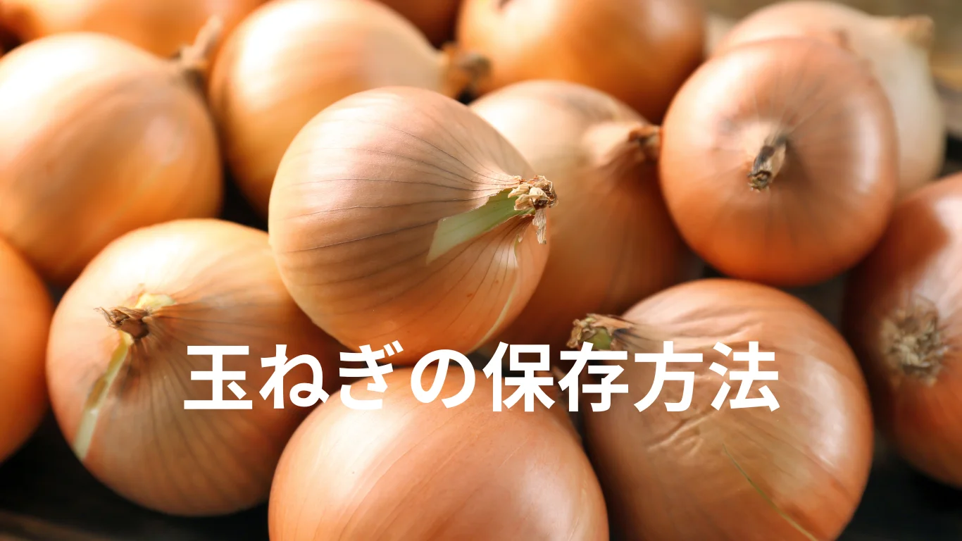玉ねぎの保存は常温・冷蔵・冷凍どれが正解？ 正しい保存方法と長持ちのコツ