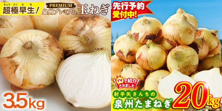 大阪府泉佐野市ふるさと納税 玉ねぎ