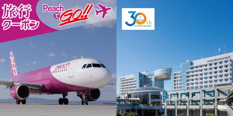 大阪府泉佐野市ふるさと納税 旅行券